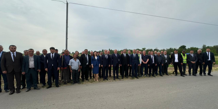 Beyləqanda növbəti ağacəkmə aksiyası keçirilib