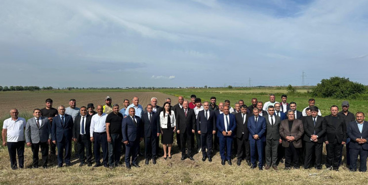 Beyləqanda növbəti ağacəkmə aksiyası keçirilib