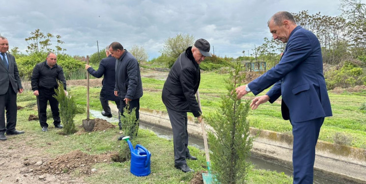 Beyləqan rayonunda növbəti ağacəkmə aksiyası keçirilib